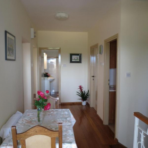 Гостиница Apartment IDA  Ровинь